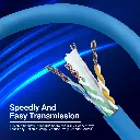 CAT6 CCA2.webp