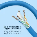 CAT6 CCA1.webp