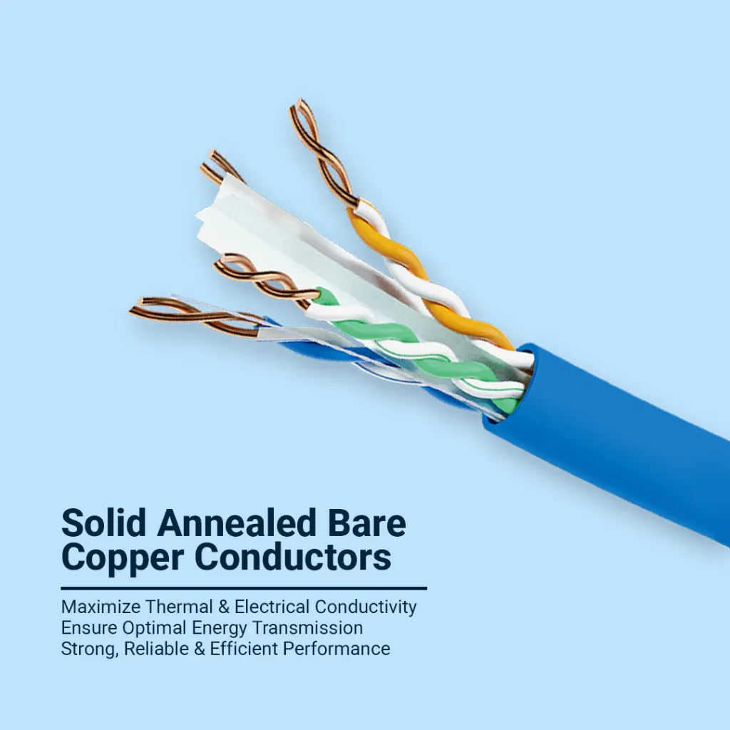 CAT6 305MTR.webp
