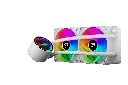 240_cocosports_60025.webp
