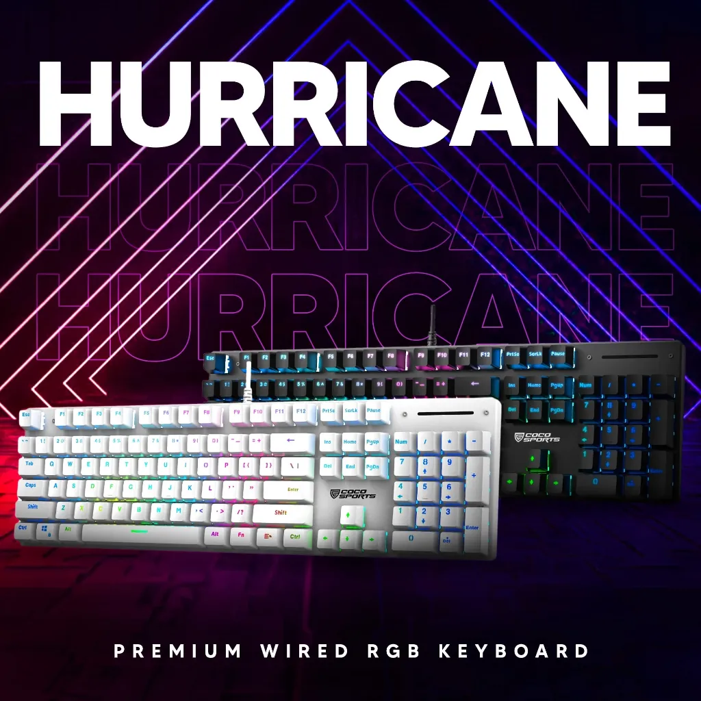 Hurricane1.webp