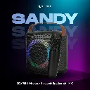 SANDY 1.webp