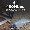c14_2.webp