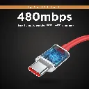 c14_3.webp