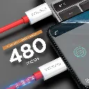 c15_2.webp