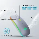 WM20SILVER_3.webp