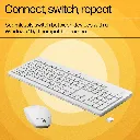 HP2303.webp