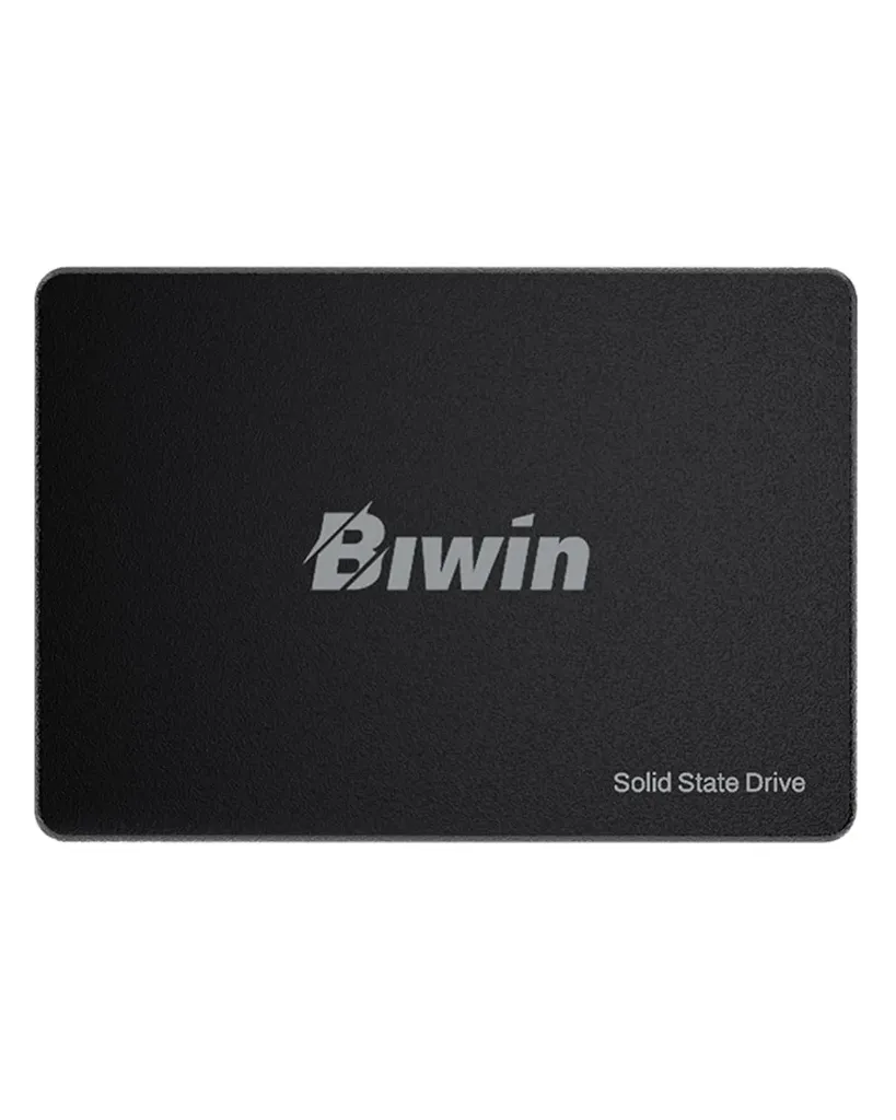 BIWIN BM100NN 2.5 SATA M100 (256GB)