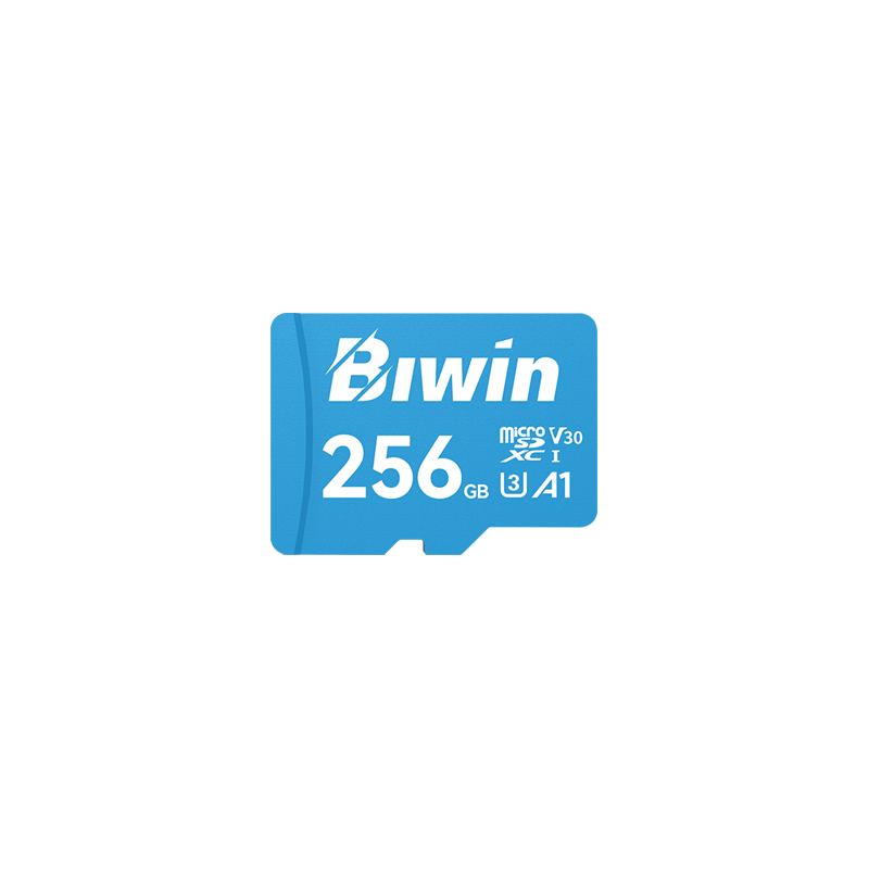BIWIN MICRO SD CARD RGX A1 MS-100 (32GB)
