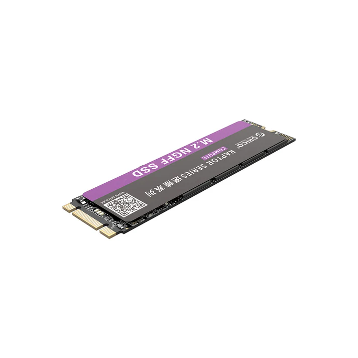 ORICO N310 960GB